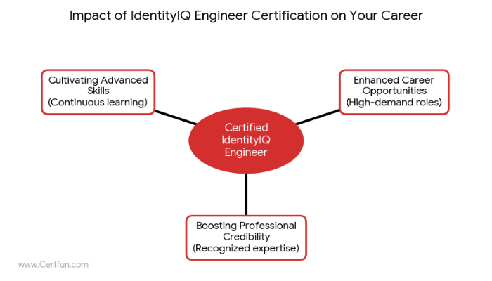 Infographic illustrating the career impact of SailPoint IdentityIQ Engineer certification, highlighting benefits like enhanced opportunities, advanced skills, and boosted professional credibility.