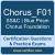 Chorus_F01: Blue Prism Chorus Foundation