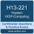 H13-221: Huawei Certified ICT Professional-Computing