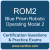 Robotic Operating Model 2: Blue Prism ROM 2 Professional