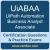UiABAA: UiPath Automation Business Analyst Associate